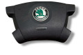Подушка безопасности водителя 30213020782158, 61305245d Skoda Fabia Mk1 (6Y)