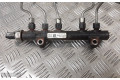 Топливная рампа 968529758002, 28497z01 Citroen C4 Grand Picasso для двигателя 9HC