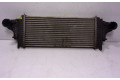 Интеркулер  A1645001900, A2515000000   Mercedes-Benz GL X164 