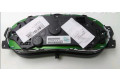 Панель приборов 248095021R   Dacia Sandero       