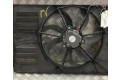 Вентилятор радиатора Audi A3 S3 8P
