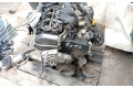 Поршень CRKB,CXXB,DBKA 04L107065D001, 04E198401S Skoda Octavia Mk3 (5E)