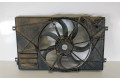 Вентилятор радиатора 1K0121205AG, 1K0959455EF Volkswagen Caddy