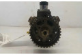 Vstřikovací čerpadlo 9654794380A Peugeot 206+