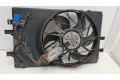 Вентилятор радиатора 0130307011, 3135103958 Mercedes-Benz A W169 1.5