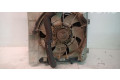 Вентилятор радиатора 1253G9, 1253G9 Citroen C1
