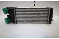 Интеркулер 9645965180, IA1322 Citroen Xsara Picasso 1.6