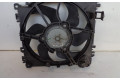 Комплект вентиляторов 8200748439, 8200748439 Renault Clio III