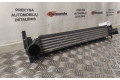 Интеркулер  R4642004, R4642004   Seat Ibiza IV (6J,6P) 