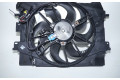 Комплект вентиляторов 214818009, 214818009 Dacia Logan II