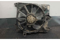 Вентилятор радиатора     7700436917, 5020100    Nissan Kubistar 