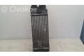 Интеркулер 9645965180, IA1322 Citroen Xsara Picasso 1.6
