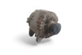 Lichtmaschine 03L903023L, TG14C043 Skoda Octavia Mk3 (5E)