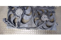 Вентилятор радиатора     6X0959455C, 1C0121207    Volkswagen New Beetle 