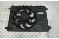 Вентилятор радиатора     6G918C607GK, C9G4A    Ford S-MAX 