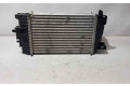 Интеркулер 99001059, 8ML376756431 Opel Meriva B