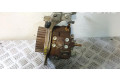 Vstřikovací čerpadlo 9656300380, BOMBAINYECCION Peugeot 207 CC