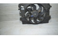 Вентилятор радиатора 214819617R, 214819617R Dacia Lodgy