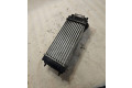 Интеркулер 9648551880, 1876923J Citroen C4 I
