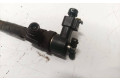 Vstřikovač 0445110243, 0445110243 Fiat Croma