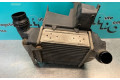 Интеркулер  144613211R, 144613211R   Renault Twingo II 