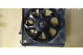 Вентилятор радиатора 6008358 Tesla Model S
