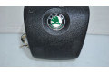 Подушка безопасности водителя 1Z0880201AM, 1Z0880201AM Skoda Octavia Mk2 (1Z)