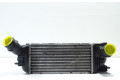 Интеркулер  0384G6   Citroen C5 