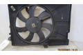 Вентилятор радиатора     252311C333    Hyundai Getz 