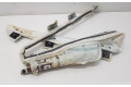 Боковая подушка безопасности 6V0880741B   Skoda Fabia Mk3 (NJ)