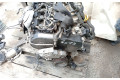 Поршень CRKB,CXXB,DBKA 04L107065D001, 04E198401S Skoda Octavia Mk3 (5E)