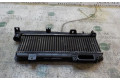Интеркулер Peugeot 306