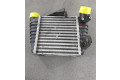 Интеркулер NYERE, 6Q0145804G Skoda Fabia Mk2 (5J)
