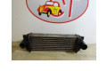 Интеркулер  4999282, 4999282   Ford Transit -  Tourneo Connect 