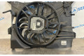 Вентилятор радиатора 30741238, 3135103922 Volvo S60