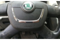 Подушка безопасности водителя 1Z0880201AH, 62218052A Skoda Octavia Mk2 (1Z)