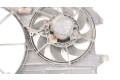 Вентилятор радиатора     4T168C607LA, 4T168C607LA    Ford Transit -  Tourneo Connect 