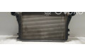 Интеркулер 1K0145803, 1K0145803 Skoda Octavia Mk2 (1Z)