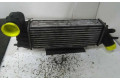 Интеркулер 1489396080, 870229H Citroen C8