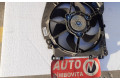 Вентилятор радиатора     8200748439, REN104743    Renault Clio III 
