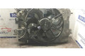 Комплект вентиляторов     5020853, 5020853    Dacia Sandero 
