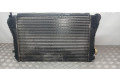 Интеркулер 1K0145803BM, 2961CD05 Volkswagen Golf VI