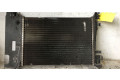 Радиатор охлаждающей жидкости     Fiat Punto Evo