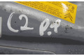 Подушка безопасности в сиденье 96462516ZE, CC100740ZEE Citroen C2