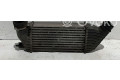 Интеркулер     Fiat Scudo 