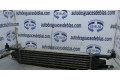Интеркулер  INTERCOOLER   Fiat Punto (199) 