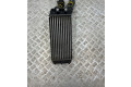 Интеркулер  9800291280, 98733T01   Citroen DS4 