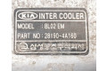 Интеркулер  281904A160, BL02EM   KIA Sorento 2.5