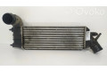 Интеркулер 1489396080, IA1076 Citroen C8 2.2
