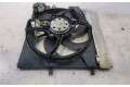 Вентилятор радиатора     9812028580, R0-6031B    Citroen C3 